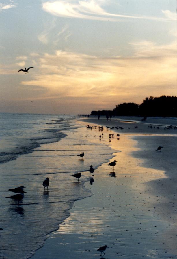 Sanibel Moorings Hotel Exterior photo